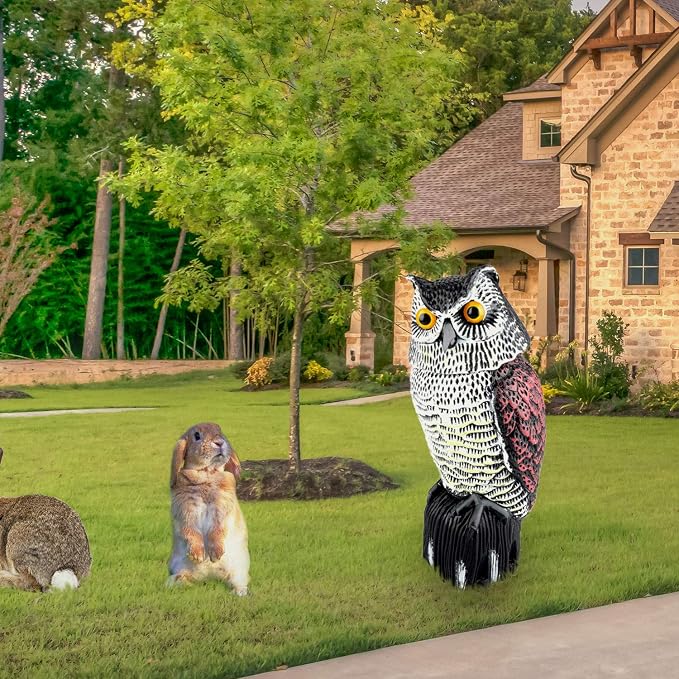 Plastic Owl Statue Decoys for Bird Control - Owl Scarecrow with Rotating Head for Garden, Yard and Outdoor Use | Scare Birds