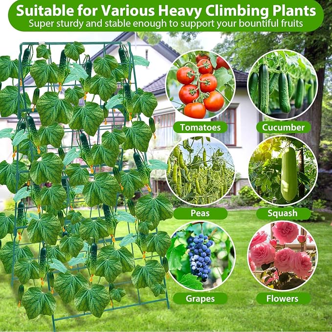 ROADPLUM Cucumber Trellis for Raised Garden Bed, Outdoor Sturdy Metal A-Frame Cucumber Trellis Support for Climbing Plants Vegetables and Fruits with Accessories, Easy installation and Easy Harvesting
