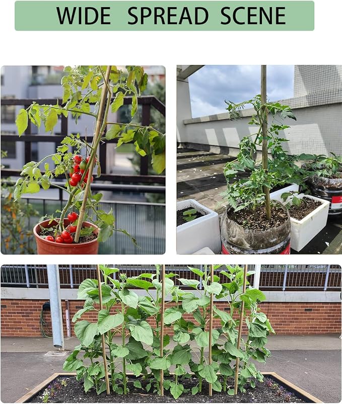5 Ft Bamboo Stakes with 100 Twist Ties Natural Bamboo Garden Stakes for Tomatoes Cucumber Grapes Pole Beans Trees Potted Dahlia Flowers and Climbing Plants - Pack of 20 (58in, Approx 5FT)