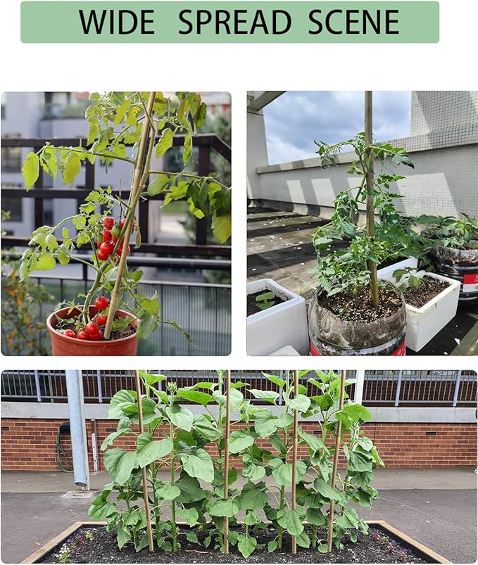 4 Ft Bamboo Stakes with 100 Twist Ties Natural Bamboo Garden Stakes for Tomatoes Cucumber Grapes Pole Beans Trees Potted Dahlia Flowers and Climbing Plants - Pack of 25