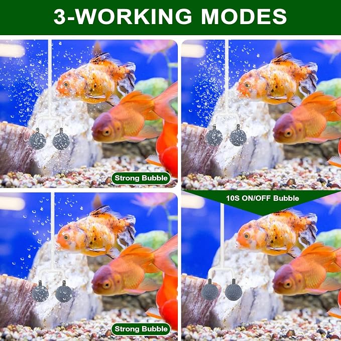 Lewisia 3W Solar Pond Aerator with Timer Air Pump Battery Aeration Kit Air Hoses and Bubble Stones Fish Tank Bubble Oxygenator