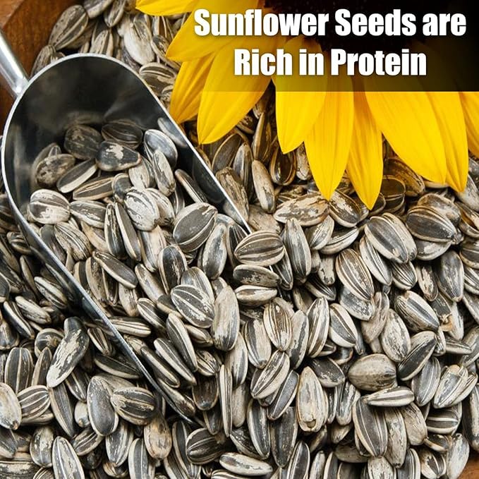 Old Potters Wildlife Striped Sunflower Seed for Wildlife Bird Feeding, Non-GMO and USA Small Farm Grown, 6 lbs