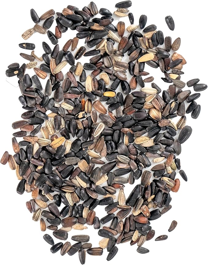 Ferry-Morse Sunflower Seeds - Red Shades Mix, Non-GMO, Outdoor, Full Sun - 1 lb