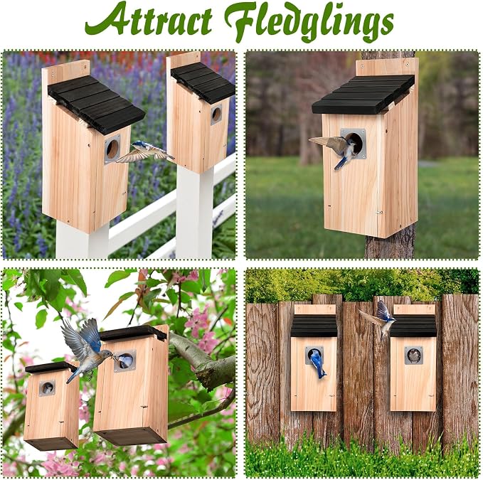 Dreyoo 3 Pack Bluebird Box Houses for Outside,1-1/2'' Entrance Hole Wooden Bird Houses with Metal Guard, Secure Latch,Fledgling Grooves,Air Vents for Bluebird Wren Swallow (Black Roof,Wood Body)