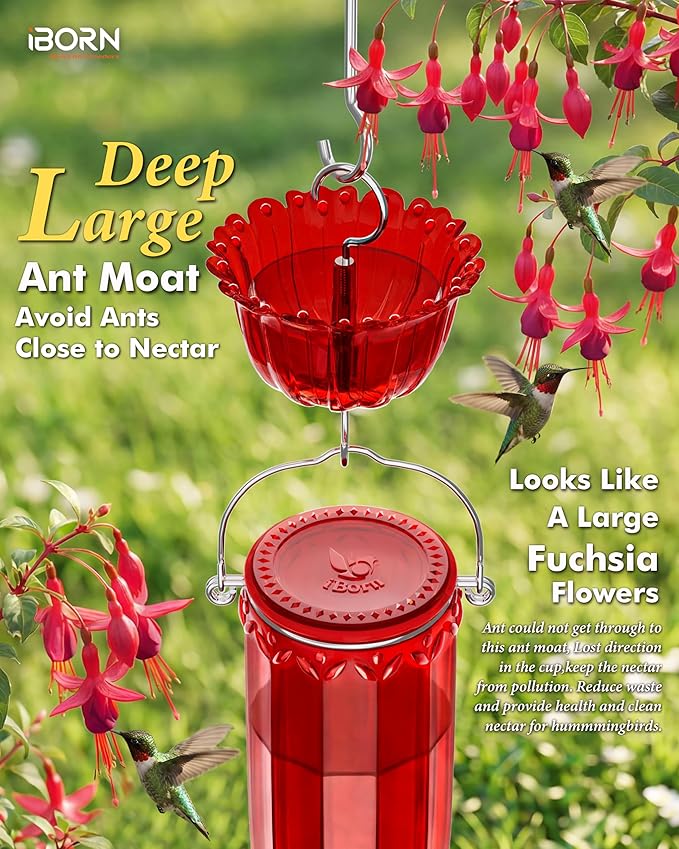iBorn Hummingbird Feeders for Outdoors Hanging with Ant Moat for Hummingbird Feeder Glass 8 Ports for 16oz Humming Bird Nectar,Yellow Flowers Red Glass, Pack of 1