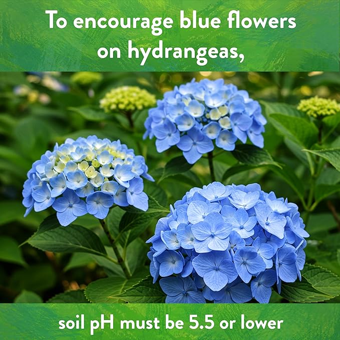 Down To Earth All Natural Fertilizers Organic Garden Sulfur Acidifier - Soil Amendment Lowers Soil pH for Hydrangeas, Berries, Evergreens, 5 lb