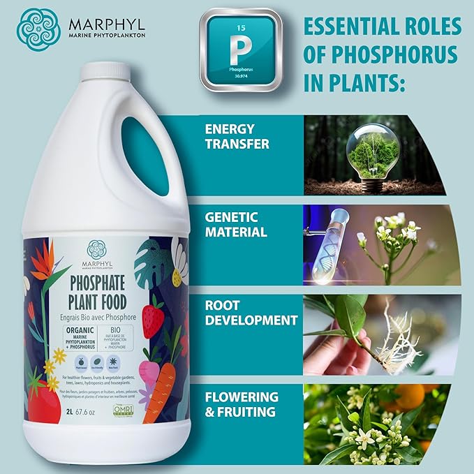 MARPHYL Organic Liquid Phosphate Soil Enhancer – Phosphorus Fertilizer for Root Development & Bloom Support, Ideal for Garden Flowers, Vegetables, Succulents & Hydroponics