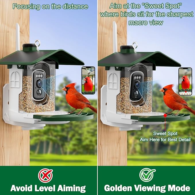 Smart Bird Feeder with Camera Solar Powered - AI Bird Identification, Instant Arrival Alerts, 2.4Ghz WiFi, 3MP HD Video, IP65 Weatherproof Design, Gifts for Mom Dad Birdlovers, Green