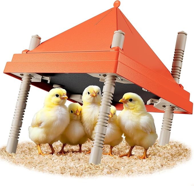 Chick Brooder Heating Plate 10" x 10" with Anti-Roosting Cone, Stepless Adjustable Height for Up to 15 Chicks, Energy Efficient Mother Hen Brooder for Poultry