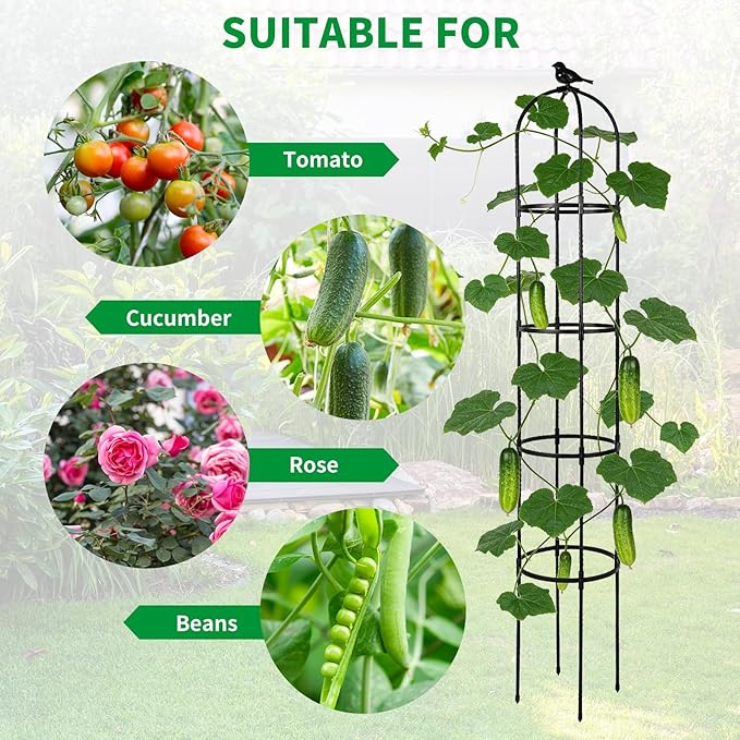Garden Obelisk Trellis for Climbing Plants Outdoor, 6.3 ft Tall Trellis for Roses Clematis Jasmine Ivy Flower Light Climbing Vines Potted Plant Support, Patio, Yard, Black, 1PCS