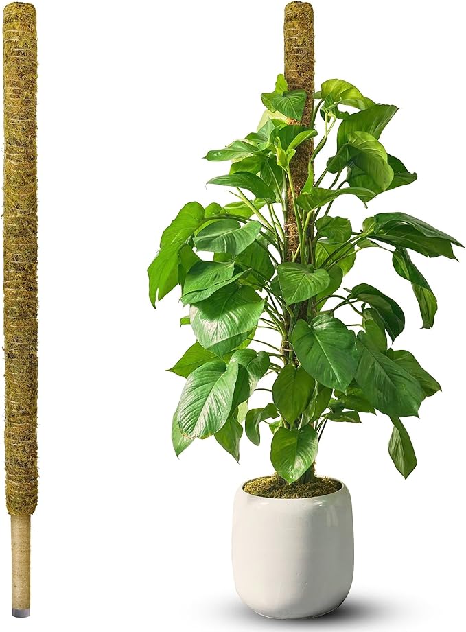 DUSPRO 59 Inches Non-Bendable Pole for Big Climbing Plants, Large Moss Pole for Monstera, Indoor Plant Stakes, Support (1pc., 59'')