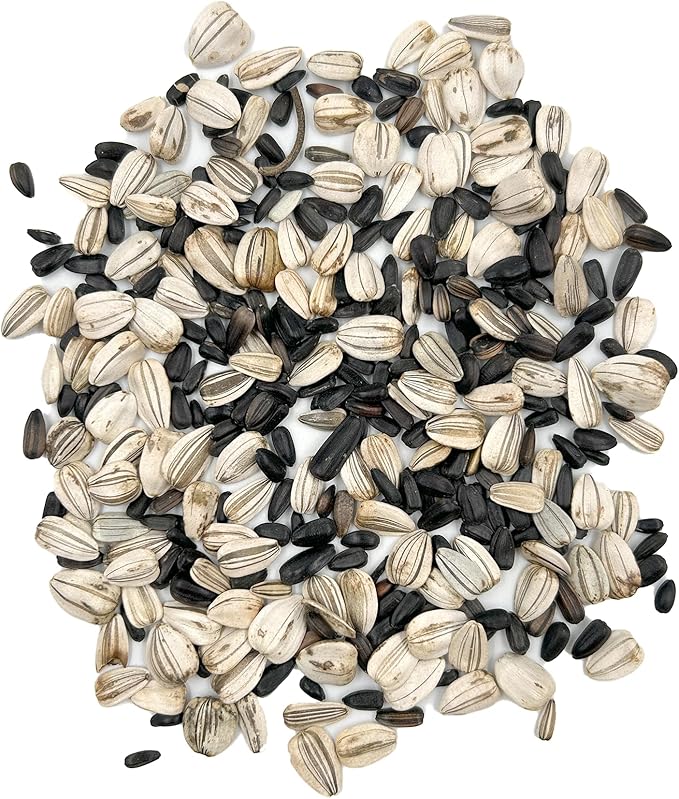 Ferry-Morse Sunflower Seeds - Non-GMO, Full Sun, Outdoor, Spring to Summer Bloom - 1 lb