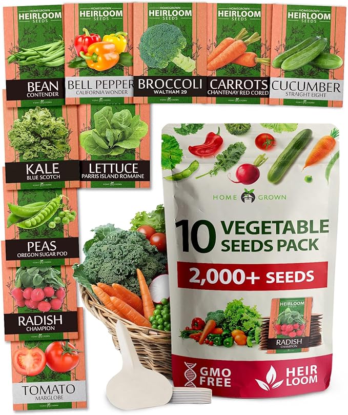 2,000+ Vegetable Seeds for Planting - Bonsai Tree Kit - Gifts for Men & Women