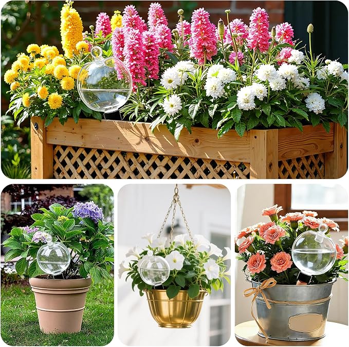 ZephyrBloom 19 Oz Large Self Watering Plant Watering Globes, Water Globes & Watering Bulbs for Indoor Outdoor Plants, Plant Water Feeders for All Plants While Away and Vacation Watering 4-Pack