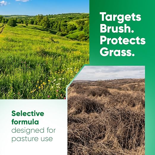Corteva Remedy Herbicide Concentrate - 1 Quart - Triclopyr Brush & Broadleaf Weed Control for Pastures, Fencerows & Rangelands - Long-Lasting Land Restoration