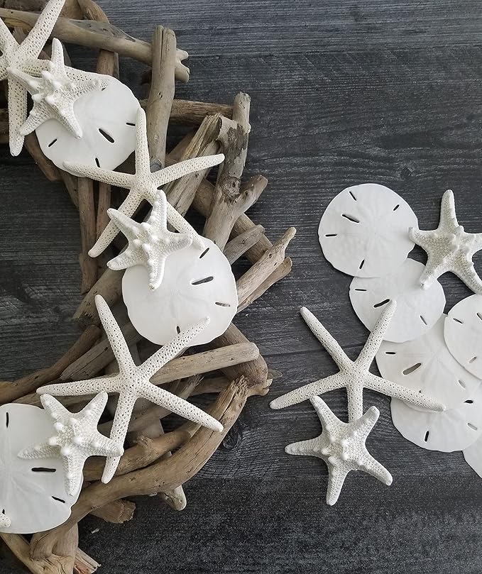 Tumbler Home Sand Dollars and Starfish for Crafts, 3 Real Starfish (4"-6") and 3 Sand Dollars (3"-3.5") in Bulk