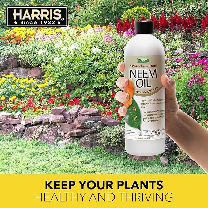 Harris Concentrated Neem Oil 100% Cold Pressed Filtered Oil Insecticide/Miticide/Fungicide, 12 oz Concentrate