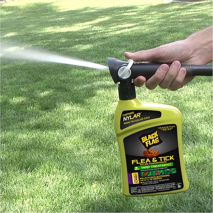Black Flag Flea and Tick Killer Concentrate Yard Treatment, 32 Ounces, Ready To Spray, Quickflip Hose End Sprayer