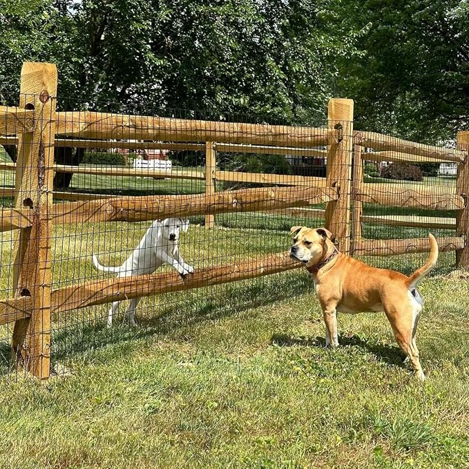 Garden Fence 48in x 100ft, 2 x 3 Inch 16GA, Chicken Wire Mesh Garden Border Fencing Roll Vinyl Coating Metal Wire Mesh Hardware Cloth for Yard Vegetable Plant Protection Poultry Netting