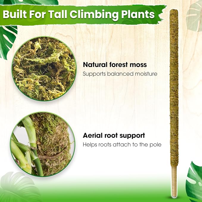 DUSPRO 59 Inches Non-Bendable Pole for Big Climbing Plants, Large Moss Pole for Monstera, Indoor Plant Stakes, Support (1pc., 59'')