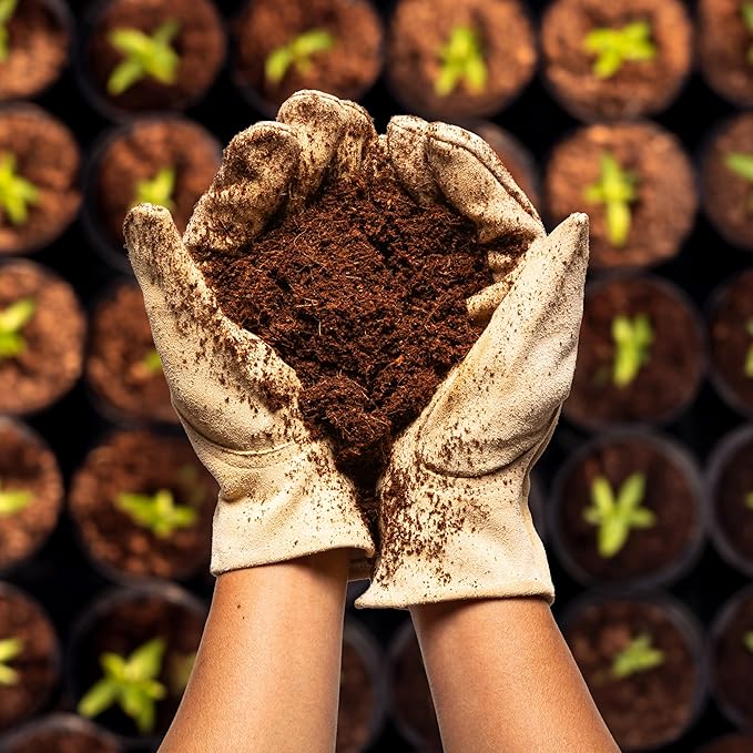 Coco Coir 650gm Bricks (6-Pack) - Organic Coco Coir for Plants & Gardening - OMRI-Listed Cocopeat for Garden Soil, Seed Starter Soil, & Mulch - Coconut Coir Bricks - Coconut Fiber Potting Mix