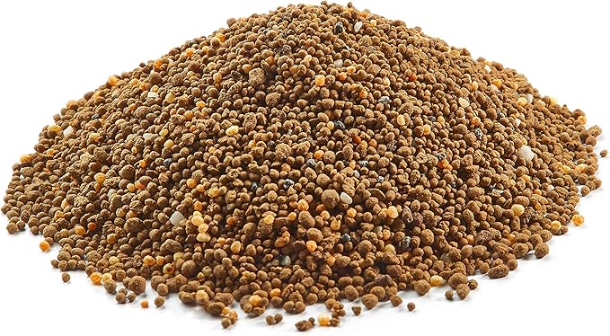BioAdvanced 12 Month Tree and Shrub Protect and Feed, Granules, 10 lb, Insect Killer, Tree Fertilizer & Plant Food