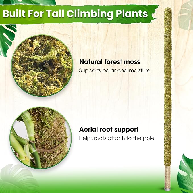 DUSPRO 80 Inches Large Moss Pole for Plants Monstera, Plant Stakes for Indoor Plants, Monstera Plant Support, Plant Support/Plant Pole for Big Climbing Plants Indoor (1pc., 80'')