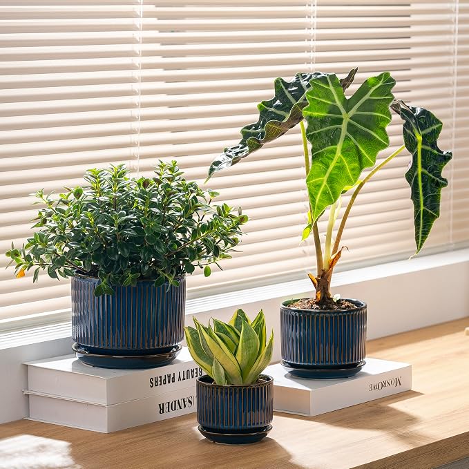 SURE YUESI Ceramic Plant Pots Set of 3, Indoor Outdoor Planters with Drainage Hole and Saucer, Ceramic Flower Pots for Indoor Plants, 4.3+5.5+6.8 Inch, Home, Garden, Patio and Office, Glossy Blue