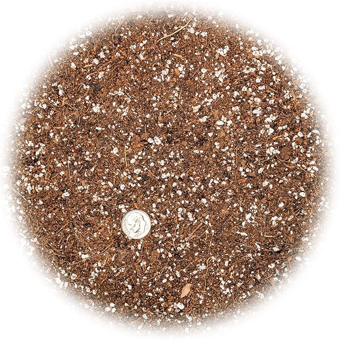 Gardenera Professional Carnivorous Plant Soil - Ready to Use for Venus Flytraps, Sundews, Pitcher Plants, Butterworts | Peat Moss, Coco Coir, Perlite - 5 Quart Bag