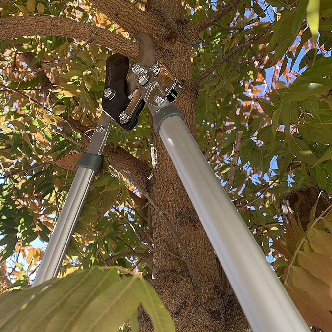 MLTOOLS Ratcheting Extendable Bypass Lopper for Gardening - Heavy Duty Ratchet Lopper 39½" Extendable Long Handle – Chops Through 1-3/4” thick Branches – Ideal for All Gardening Enthusiasts - L8230