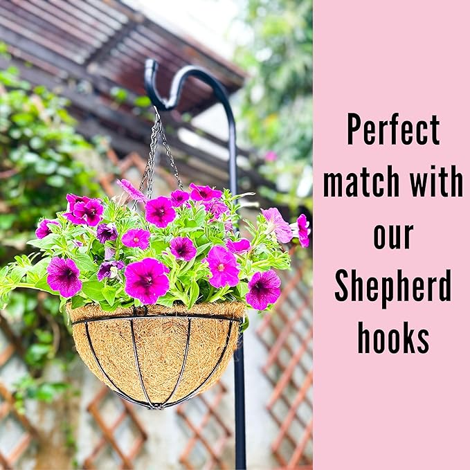 LaLaGreen Hanging Planters for Outdoor Plants (2 Pack, 12 Inch) Hanging Baskets with Coco Liner Flower Pots, Metal Wire Round Plant Holder Hanger Hook Chain Deck Porch Garden Balcony Farmhouse Decor