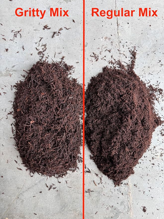 Premium Gritty New Zealand Tree Fern Fiber Growing Medium and Reptile Substrate- Natural, Organic, Long Lasting | for Orchids and Tropicals | Use in Terrariums and Vivariums (1 Gallon)