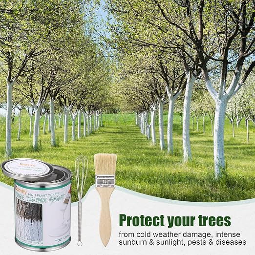 Kathfly 1 Pack Tree Paint Kit Tree Whitewash Trees Trunk Protection with Tinplate Container Whisk Brush for Fruit Nut Ornamental Trees Sapling Garden Yard Orchard (7" Whisk,Regular Wood Handle Brush)