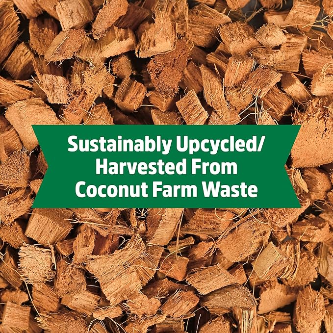 Back to the Roots 100% Organic Mulch, 58 Quart, Expanding Coconut Husk Block for Gardening