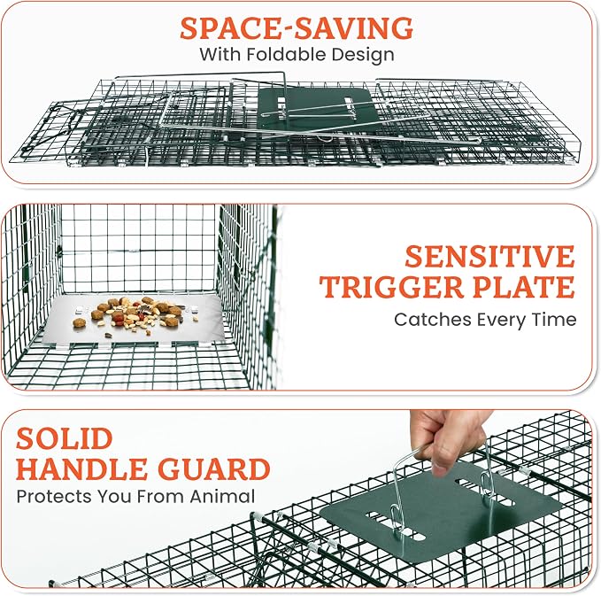 HOMESTEAD 32 Inch Heavy Duty Collapsible Live Animal Trap - Humane Catch and Release Trap for Squirrels, Stray Cats, Raccoons, Rabbits, Foldable Steel Trap, Space-Saving (32 Inch)