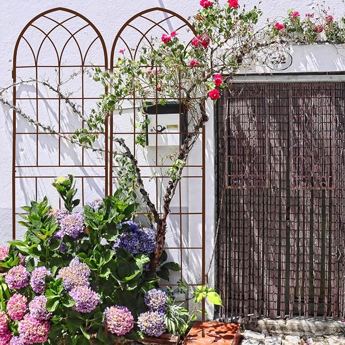 LZRS 2 Pack Rustic Iron Arch Decoration Garden Trellis with Metal Coating – Perfect for Supporting Climbing Plants Outdoor, Roses, Vines, Flowers, and Vegetables, Brown