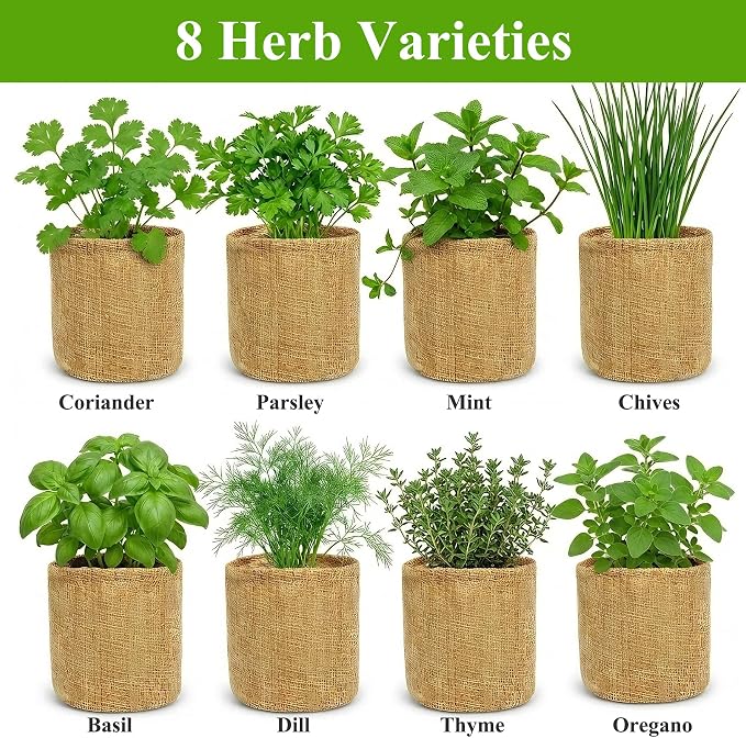 Indoor Herb Garden Kit, Culinary Herb Starter Kit with Seeds & Tools for Beginners, Ultimate Birthday Gifts for Women Men Mom Dad, House Warming Gifts for New Home, Kitchen Decor, Father Day Gifts
