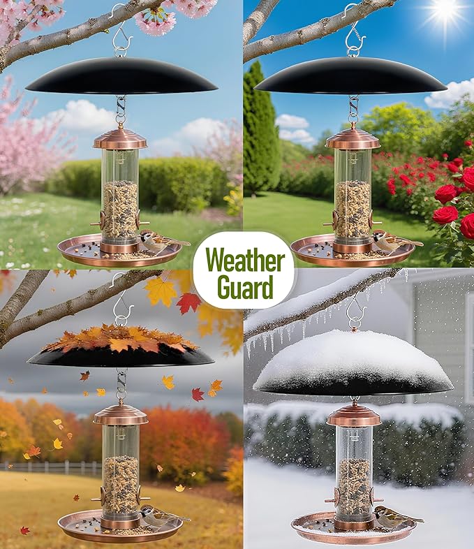 13" Bird Feeder Rain Cover,Bird House Dome,Hummingbird Feeders Guard, Proof for Shepherd's Hook Outdoors, Smart Birds Feeder Umbrella(Black), 4Pack