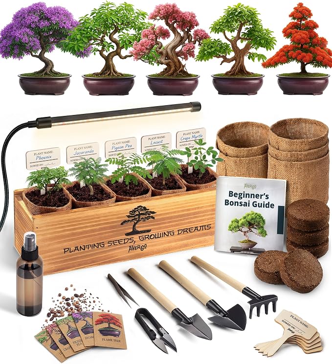 AVERGO Bonsai Tree Kit Deluxe + Growing Light - 5X Unique Japanese Bonzai Trees | Complete Indoor Bonsai Starter Kits for Growing Trees – DIY Gardening Gifts for Mother, Women & Men