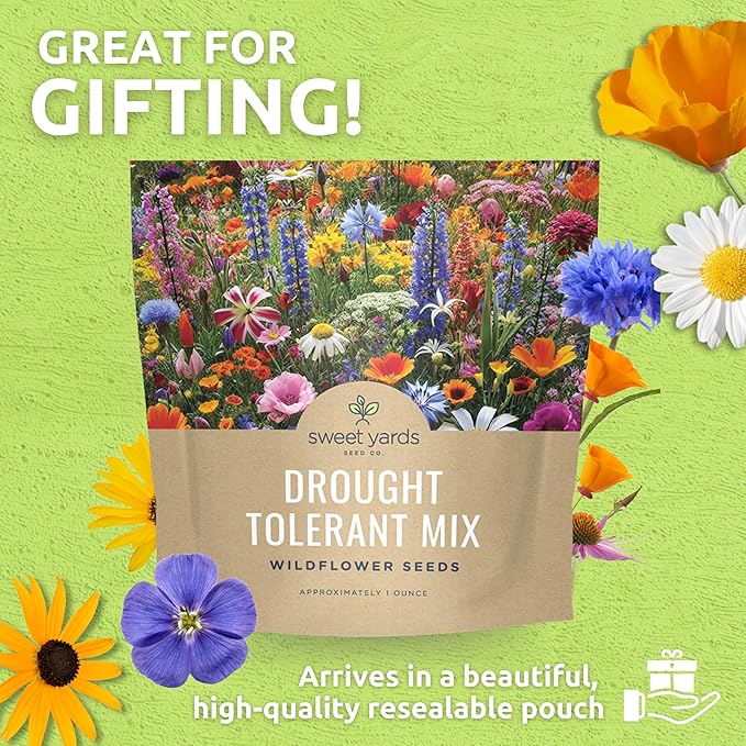 Drought Tolerant Wildflowers Mix – Extra Large Packet – Over 7,500 Open Pollinated Non-GMO Seeds – 21 Different Dryland Species