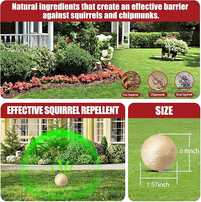 Squirrel Repellent Outdoor, Chipmunks Repellent for Outdoor & Indoor Use, Keep Squirrels Out of Gardens, Bird Feeders & Attics, Safe for People, Pets & Plants – 12 Packs