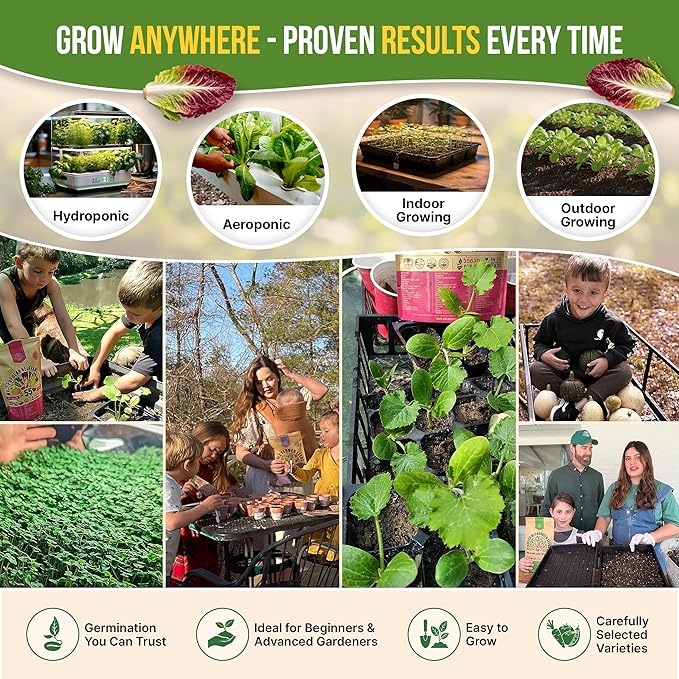 Organo Republic 15 Lettuce & Salad Greens Seeds Variety Pack 17700+ Non-GMO Heirloom Lettuce Seeds for Indoors & Outdoors Garden, Hydroponics, Aerogarden - Arugula, Kale, Spinach, Swiss Chard, Lettuce