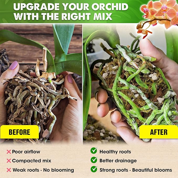 [Upgraded] DUSPRO Orchid Potting Mix for Repotting with Forest Moss, Pine Bark, Perlite & Pumice Natural Ingredients, Orchid Bark Potting Mix, Orchid Repotting Kit Drainage Indoor Potting Medium 6QT