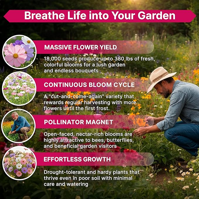 Cosmos Flower Seeds Pack 4 oz - 18,000 Non-GMO Heirloom Annual Seeds for Planting Indoor & Outdoor Gardening, Flower Seed for Garden in Resealable Packet, Floral Mix for Pollinators Perennial Mix