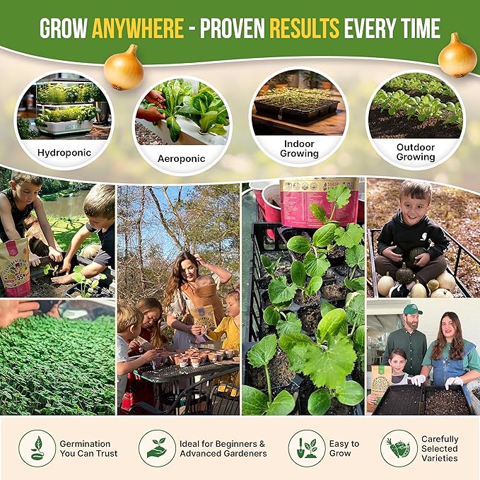 Organo Republic 25 Winter Vegetable & Green Seeds Variety Pack for Outdoors & Indoor Home Gardening 27670+ Non-GMO Heirloom Seeds: Broccoli Beet Carrot Collard Lettuce Radish Spinach Pea Kohlrabi