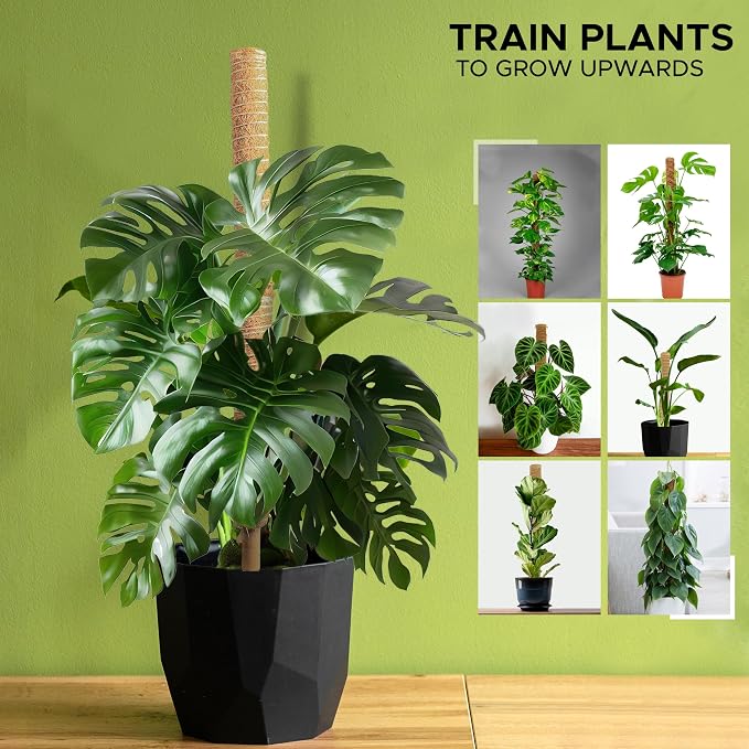EcoNour 26.5" (2 Pack -16") Stackable Moss Pole for Monstera Plant Support | Moss Pole Sticks for Indoor Plants | Bamboo Plant Stakes,Climbing,Potted,Pothos| Philodendron & Creepers with Tie Accessory