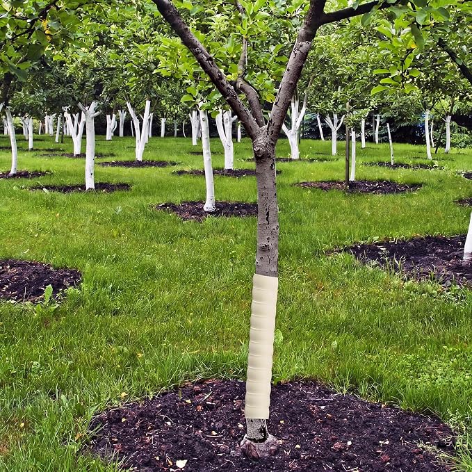 Wesiti 20 Pcs Tree Trunk Protector Plastic Spiral Trunk Tree Wrap Guard Bark Tube Protectors to Protect Bark Saplings from Deer Cats Rodents Rabbit Mowers (Beige)