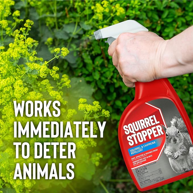 Squirrel Stopper Repellent Spray - Chipmunk & Squirrel Deterrent for Bird Feeders, Garden & Homes - Weather-Resistant Formula - Scent, Taste & Touch Barrier - Safe Around Kids & Pets - 1 Gallon