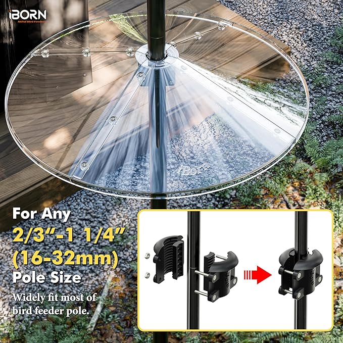 iBorn Squirrel Baffle for Bird Feeder Pole, 19.5” Oversized Squirrel Guard Defender, Bird Feeder for Outdoors Protector, Polycarbonate(PC), Pack of 1, Clear