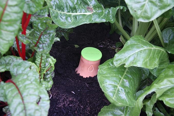 Growoya Garden OYA Large Watering Pot Plant Irrigation System Sustainable Traditional Olla Watering Smart Underground Watering Available for Garden Beds Raised Beds and Grow Bags